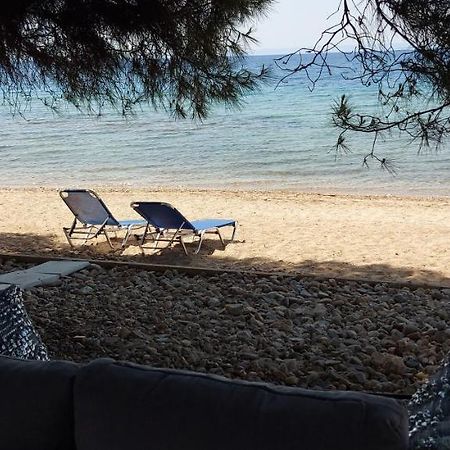 "Pine&Sea" Kastamoniti Beach Nikiti  Exterior foto
