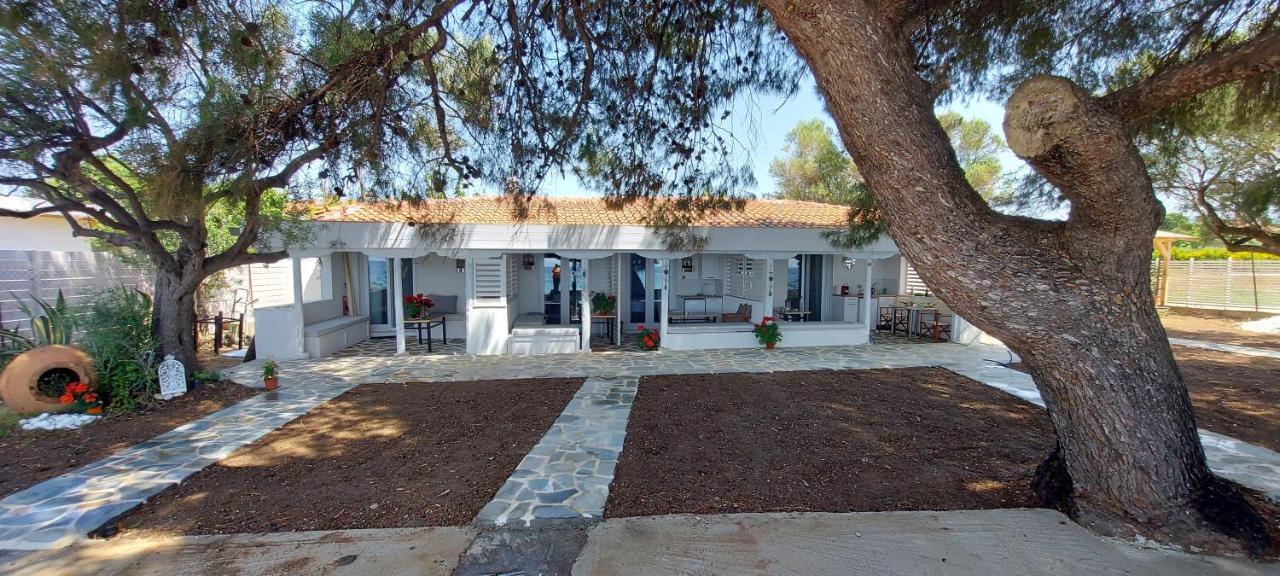 "Pine&Sea" Kastamoniti Beach Nikiti  Exterior foto