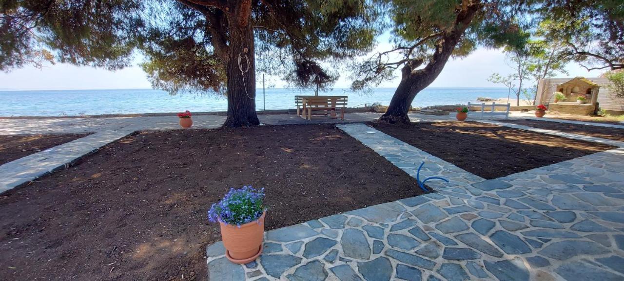 "Pine&Sea" Kastamoniti Beach Nikiti  Exterior foto