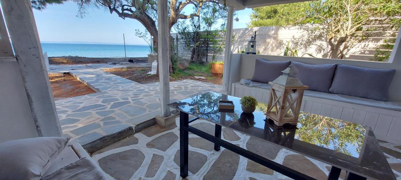 "Pine&Sea" Kastamoniti Beach Nikiti  Exterior foto